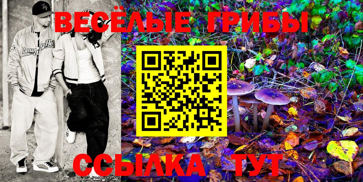 Псилоцибиновые грибы Cubensis  Псилоцибиновые грибы Psilocybe  Вход с VPN  Рыбинск 